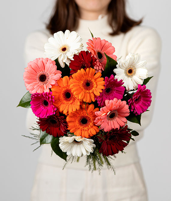 Ramo de mini gerberas en diferentes tonalidades y verdes variados. Envuelto en papel de seda con ilustración de rosas.