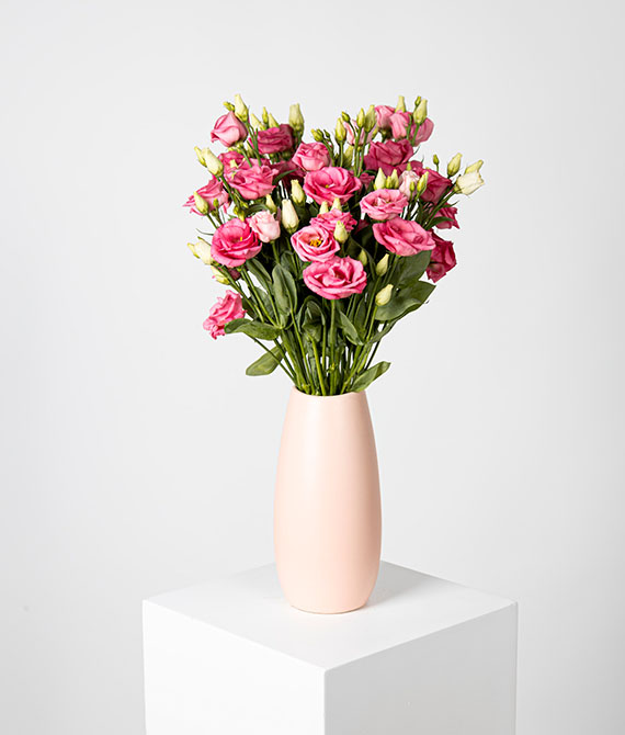 ramo de lisianthus en color rosa