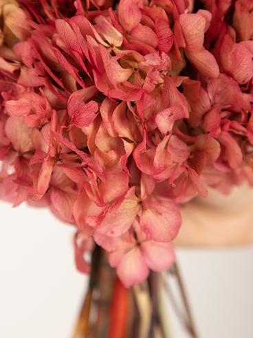 Ramo de rosas de Goya Floristas