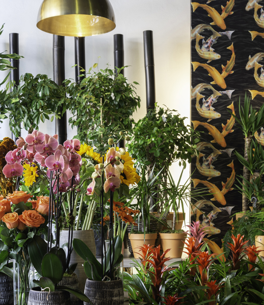 Interior tienda Salburúa de Goya Floristas