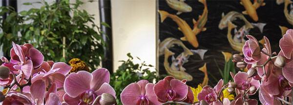 Imagen Goya Floristas