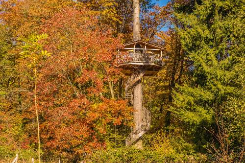Cabaña Txantxangorria en las Cabañas en los Árboles en Bizkaia 