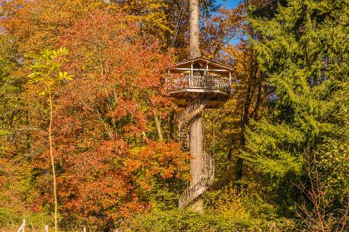 Cabaña Txantxangorria en las Cabañas en los Árboles en Bizkaia 