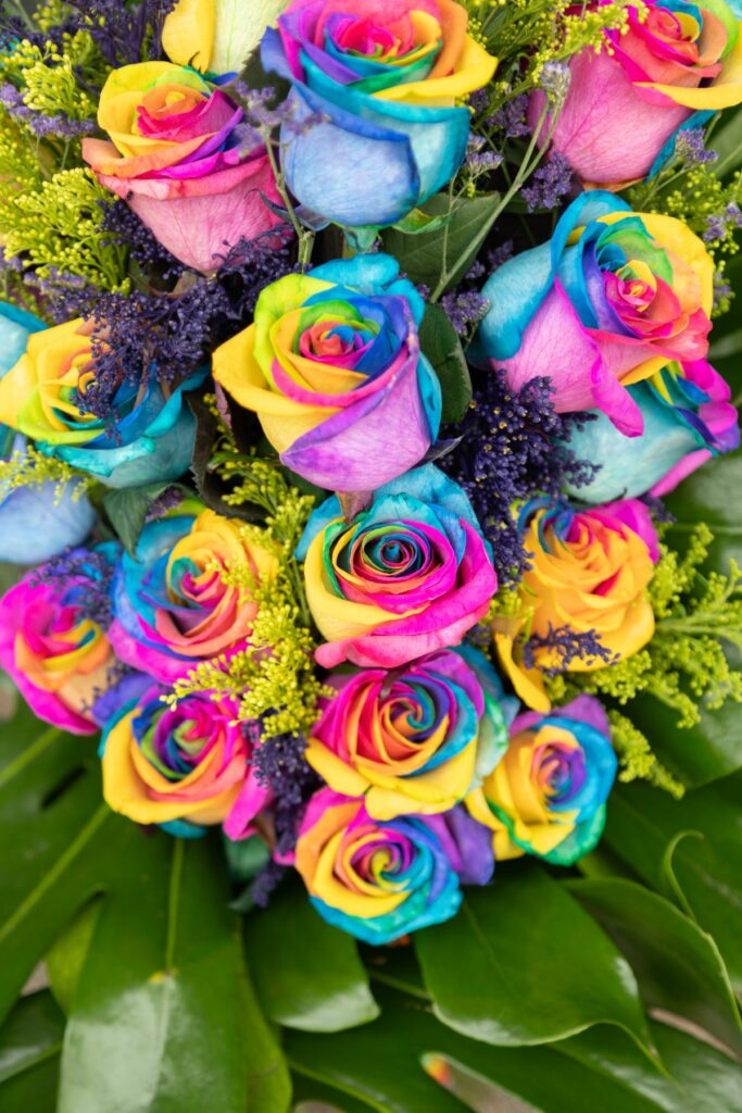 Ramos de rosas multicolor o arcoíris