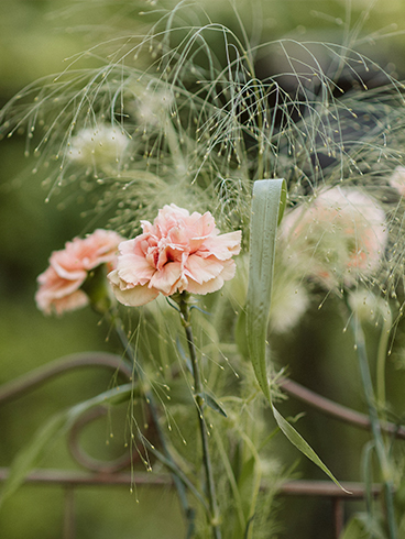 Goya Floristas