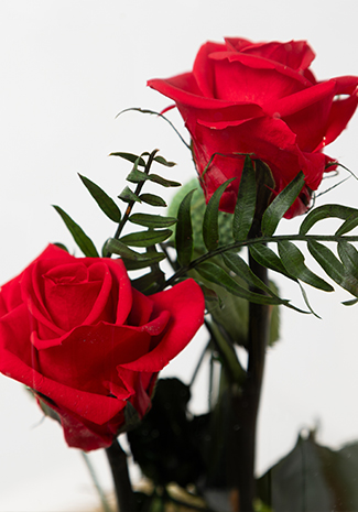 Cúpula duo rosa eterna - Imagen 5