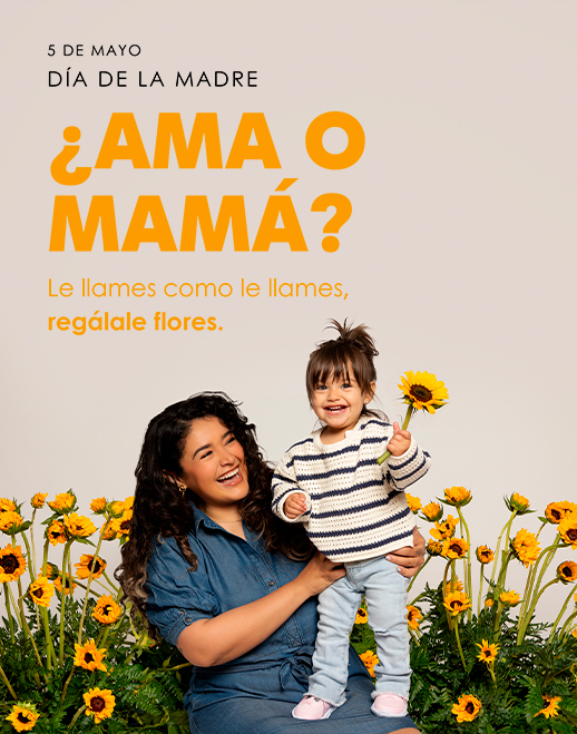Día de la Madre 2024 Goya Floristas