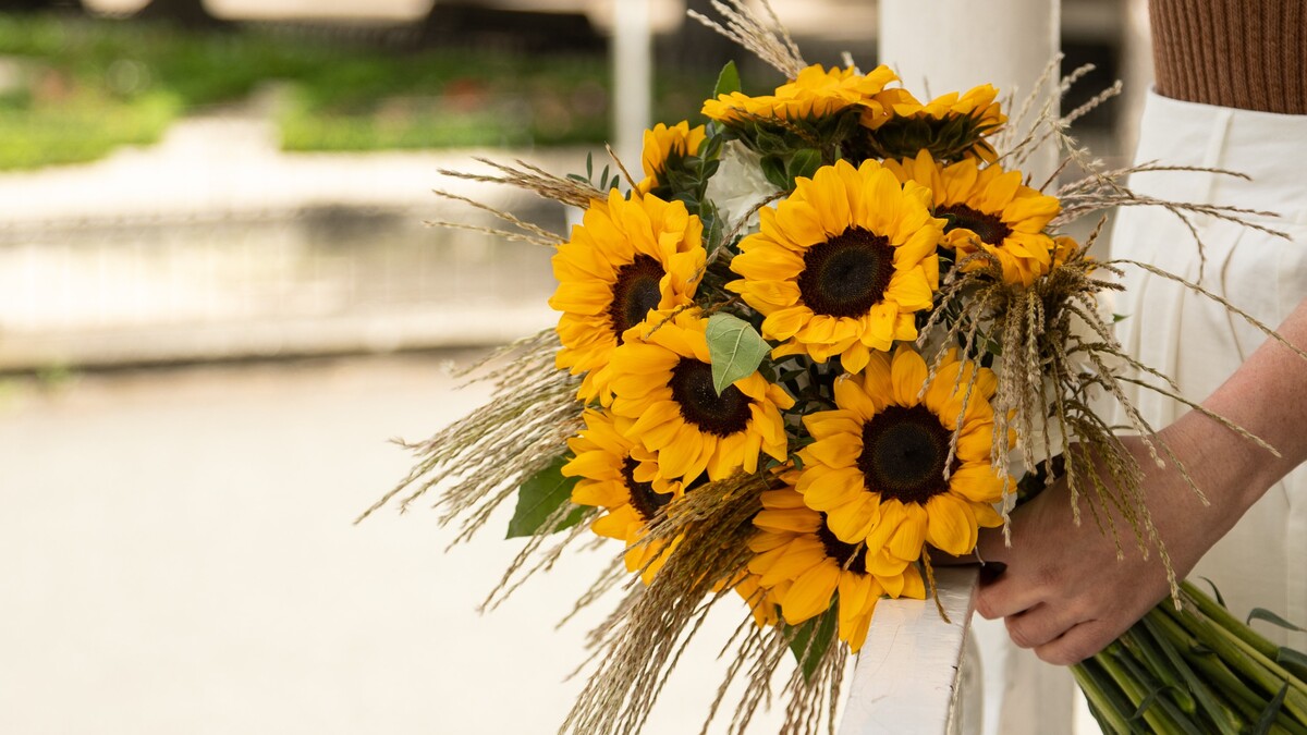 Ramos de girasoles