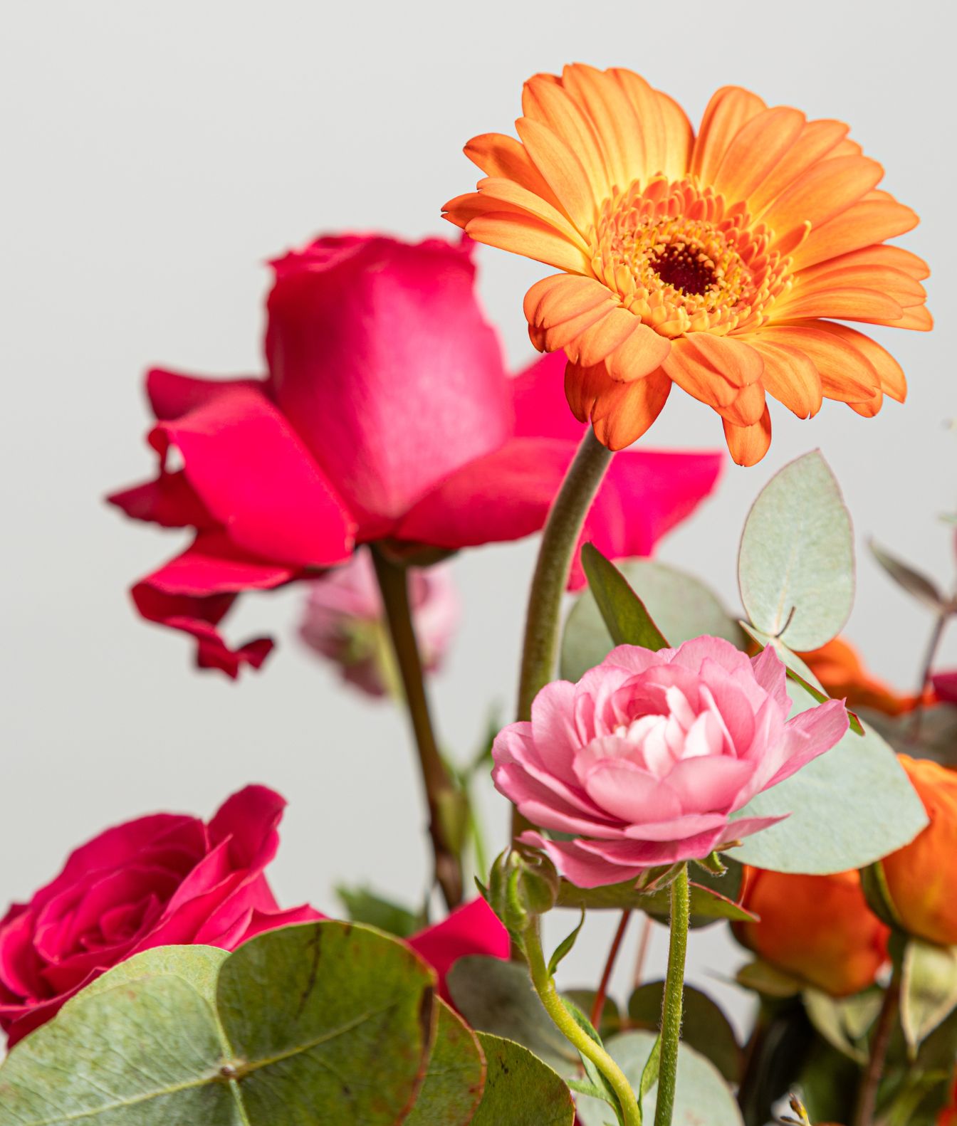 Taller Centro de Rosas y Gerberas - Imagen 2