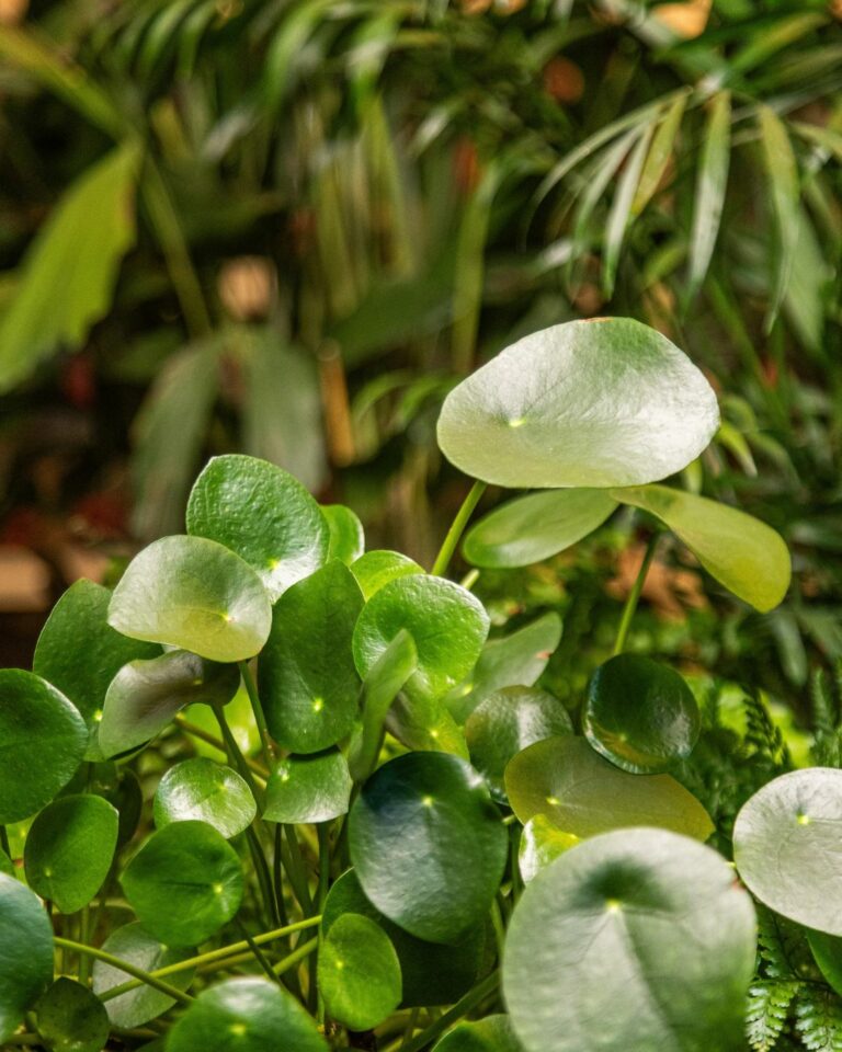 30